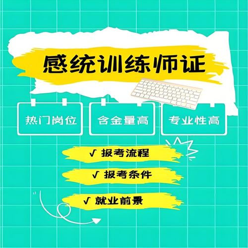 如何获得国家认可的感觉统合训练师证书 一份教育咨询指南